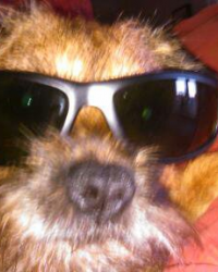 Ian Douthwaite